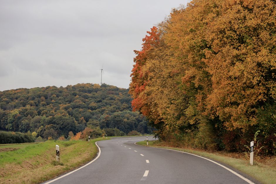 Autumn Road Trip Guide: The Best Irish Drives to Catch the Colours Before Winter Sets In